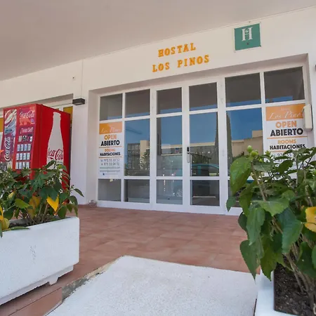 Pinos Pensión